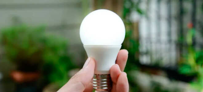 Как отремонтировать светодиодную лампочку на 220В своими руками?