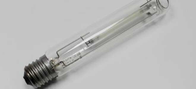 Как выбрать лампы для выращивания растений и сделать светильник для подсветки своими руками