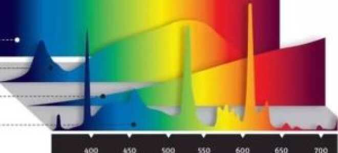 Индекс цветопередачи для типов разных ламп