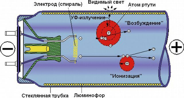 как устроена люминесцентная лампа что внутри